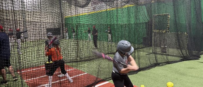 AISelect_20260302_120518_Gallery