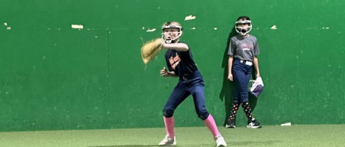 AISelect_20260302_121559_Gallery